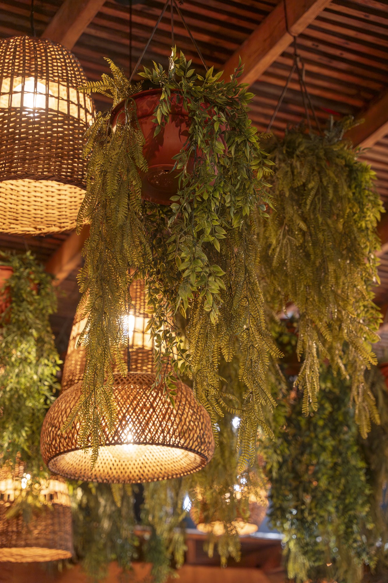 Club Terrazas — Makaha Sunset — 24