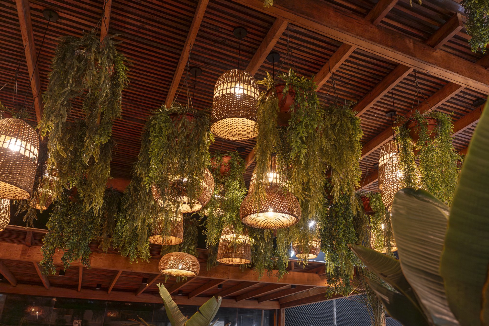 Club Terrazas — Makaha Sunset — 29